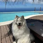 Secret Hill *